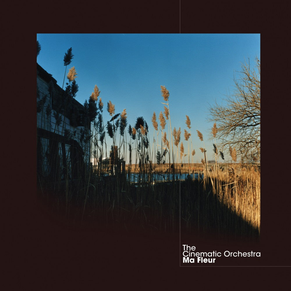 the-cinematic-orchestra-ma-fleur-vinyl-record.jpg