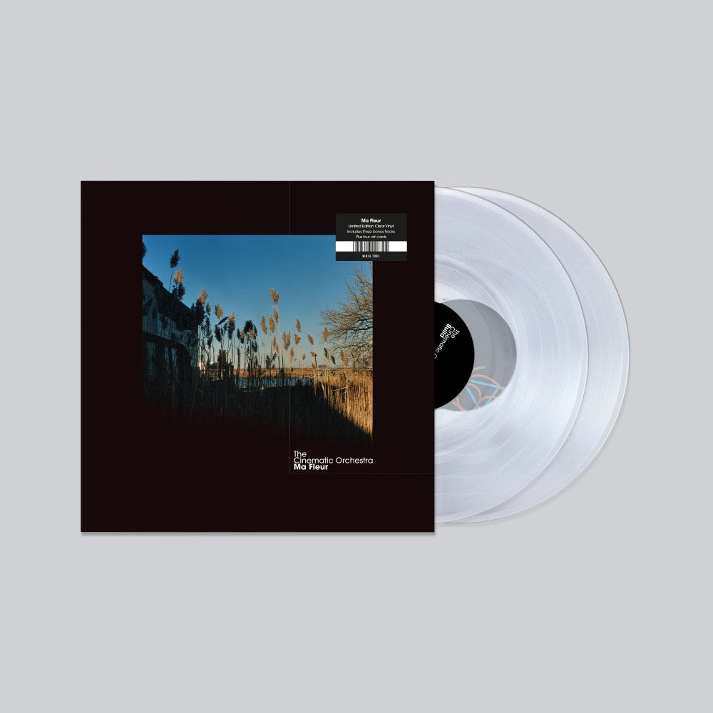 the-cinematic-orchestra-ma-fleur-vinyl-record.jpg-2