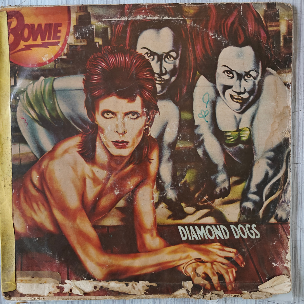 david-bowie-diamond-dogs-(indian-pressing)-vinyl-record.jpg