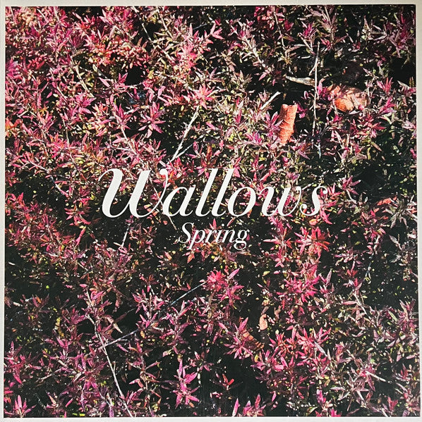 wallows-spring-vinyl-record.jpg