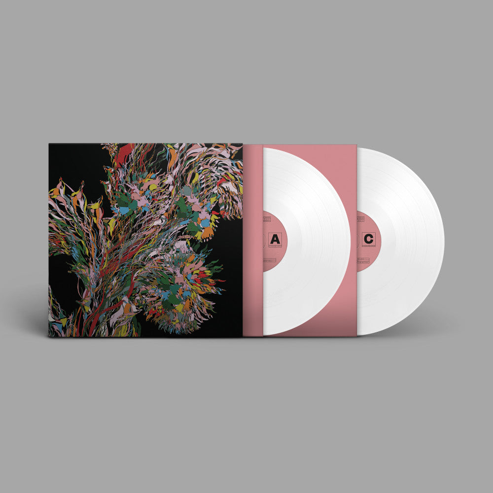 weval-remember-vinyl-record.jpg-2