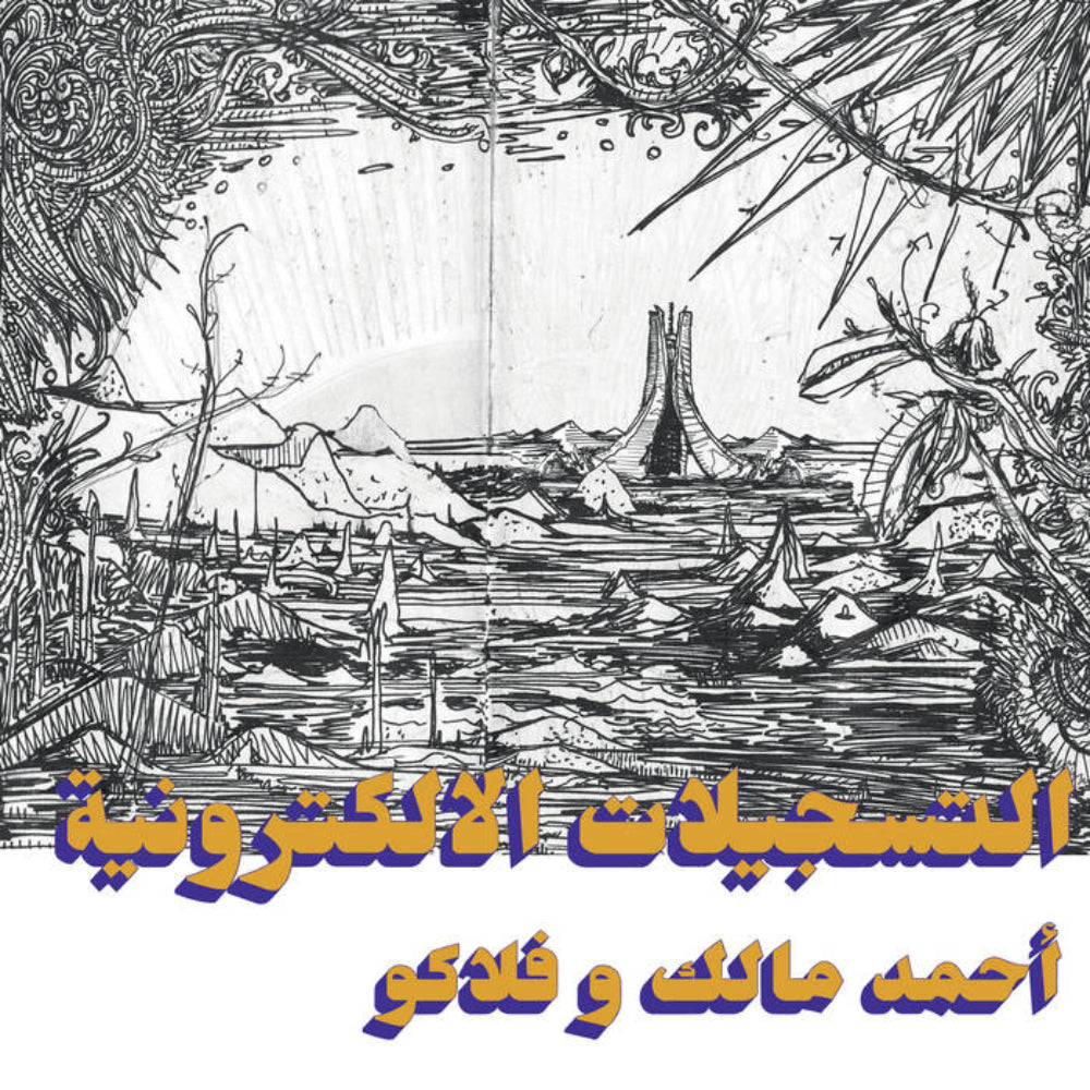 ahmed-malek-/-flako---the-electronic-tapes-vinyl-record.jpg