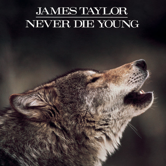 james-taylor--never-dieyoung-vinyl-record.jpg