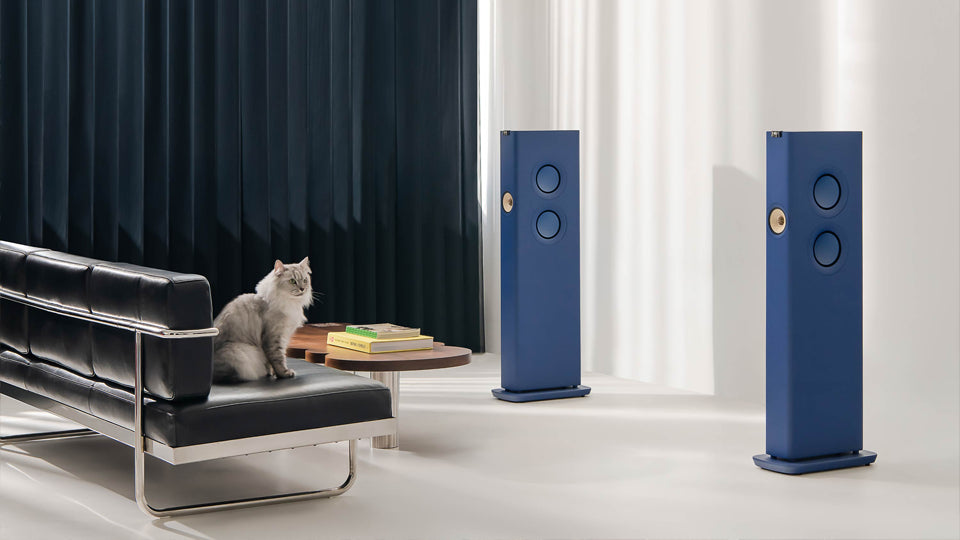 Blue floor-standing speakers in a living room setting with a black sofa and gray cat.