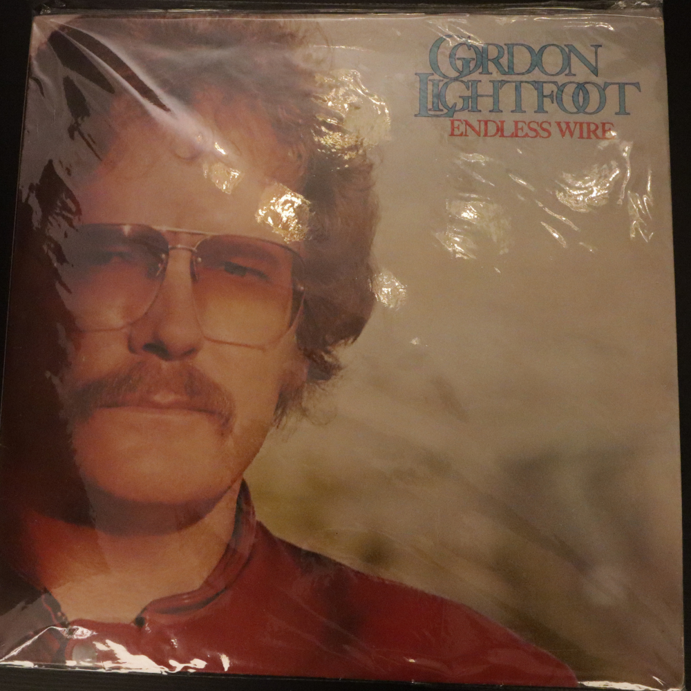 gordon-lightfoot-endless-wire-(indian-pressing)-vinyl-record.jpg