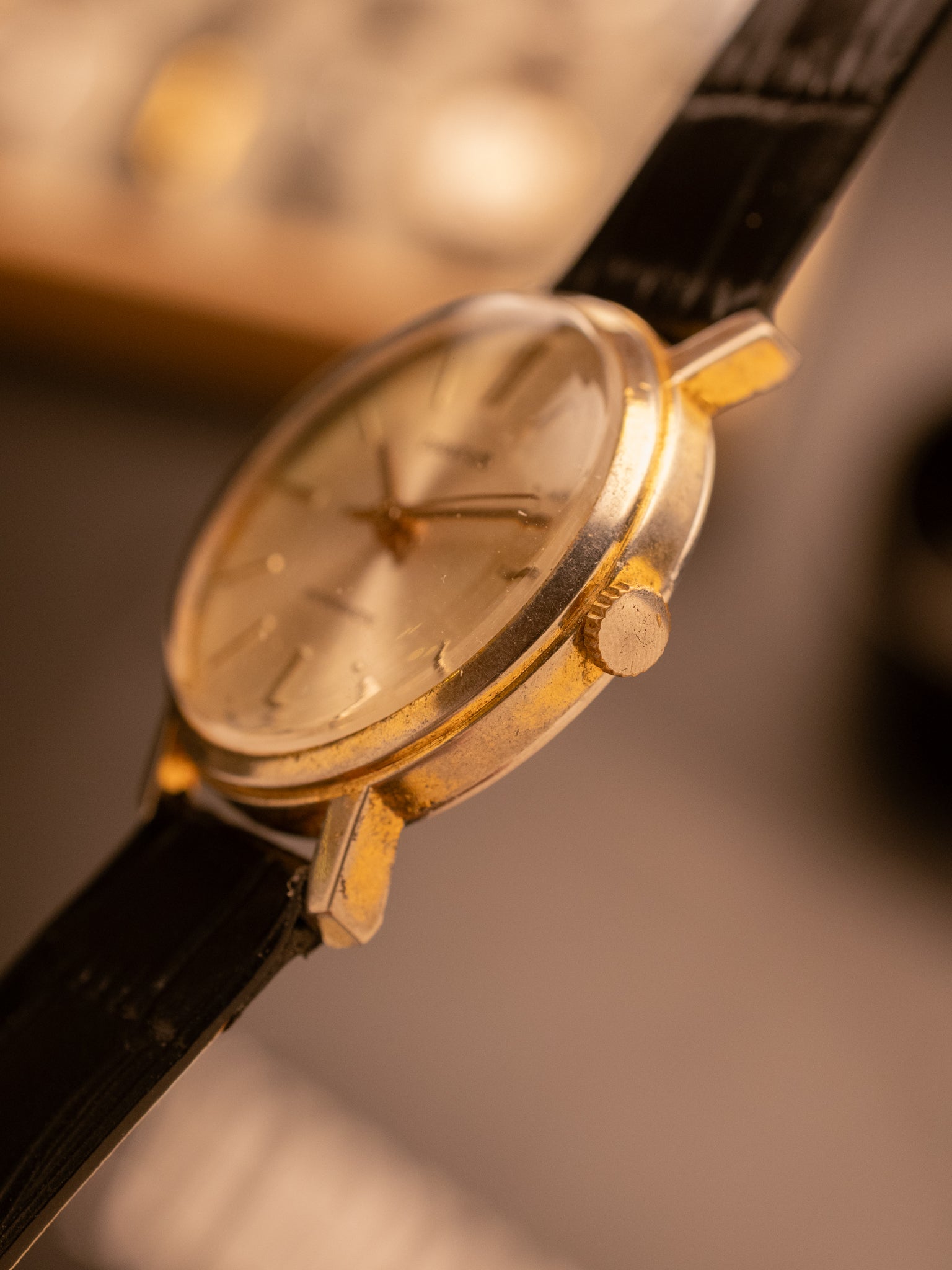 Diantus (Ref. 2292) (35mm; Manual)