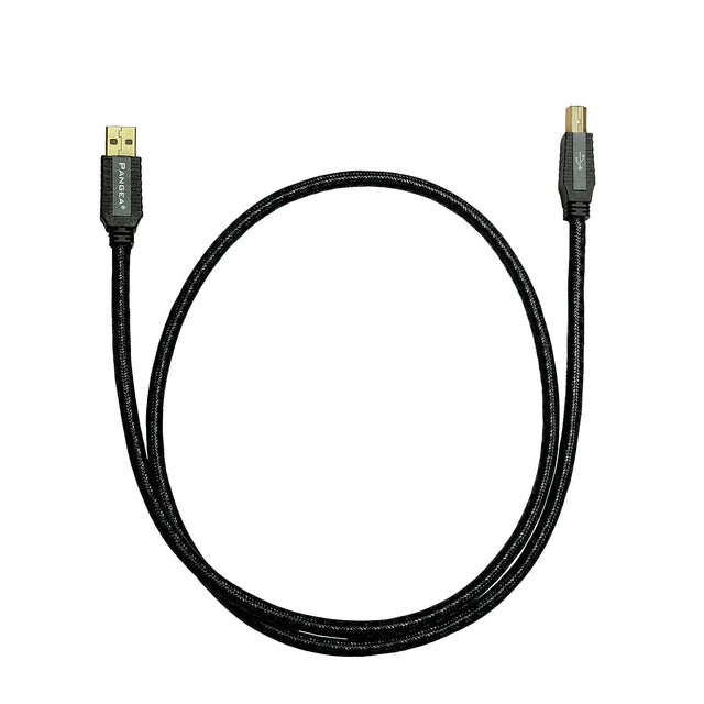 Pangea Premier SE MkII USB Cable A to B Digital Interconnect Cable 1.00 m
