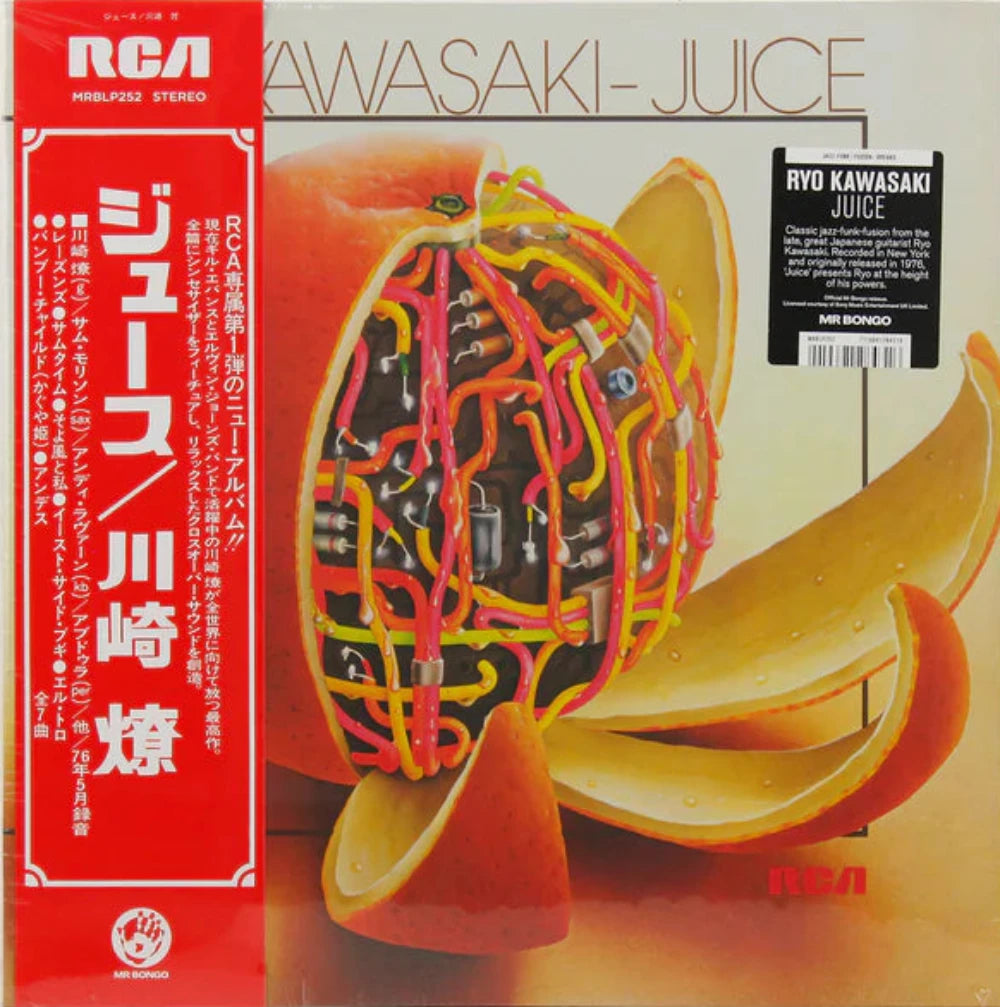 ryo-kawasaki-=-川崎燎*-juice-=-ジュース-vinyl-record.jpg