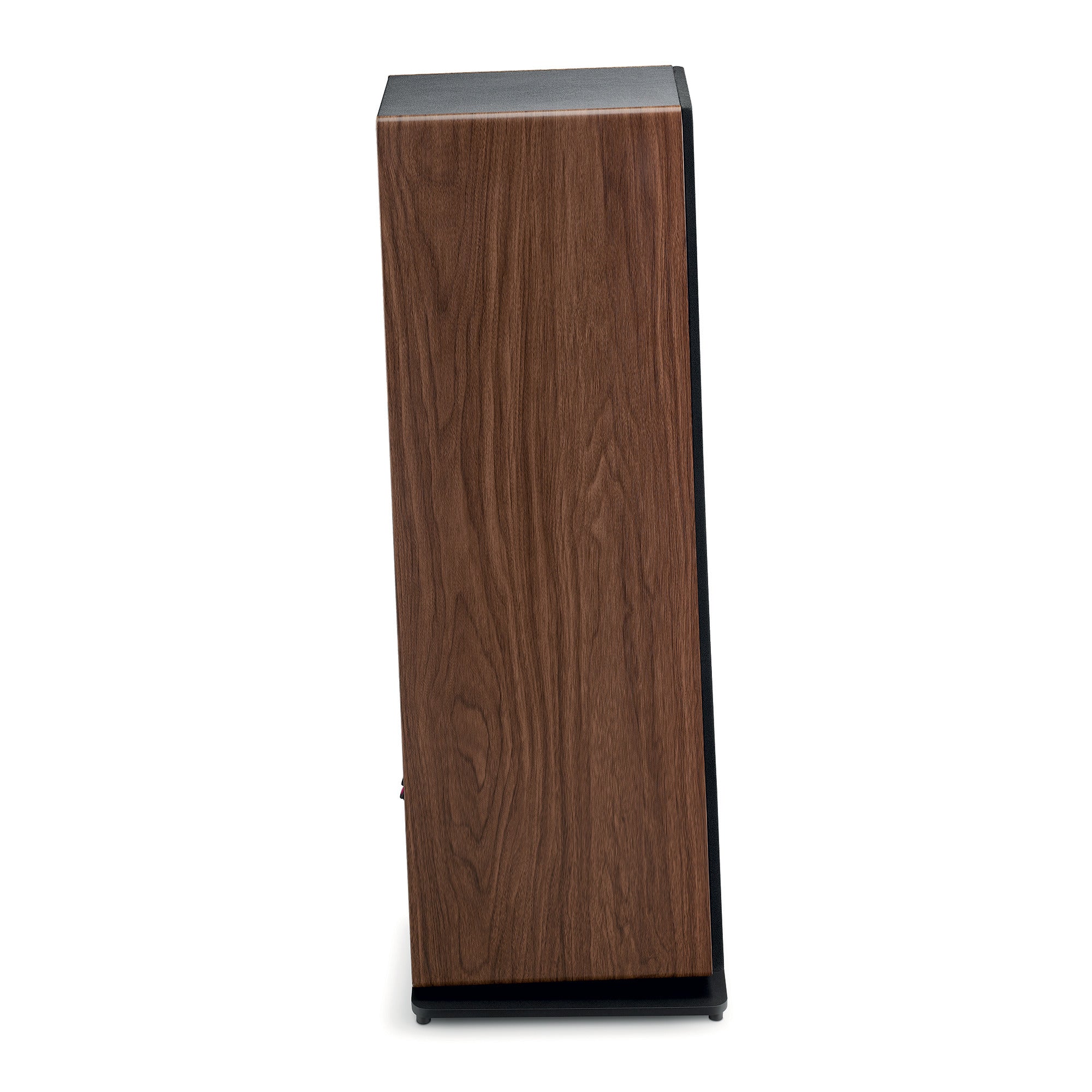 Focal Vestia N°2