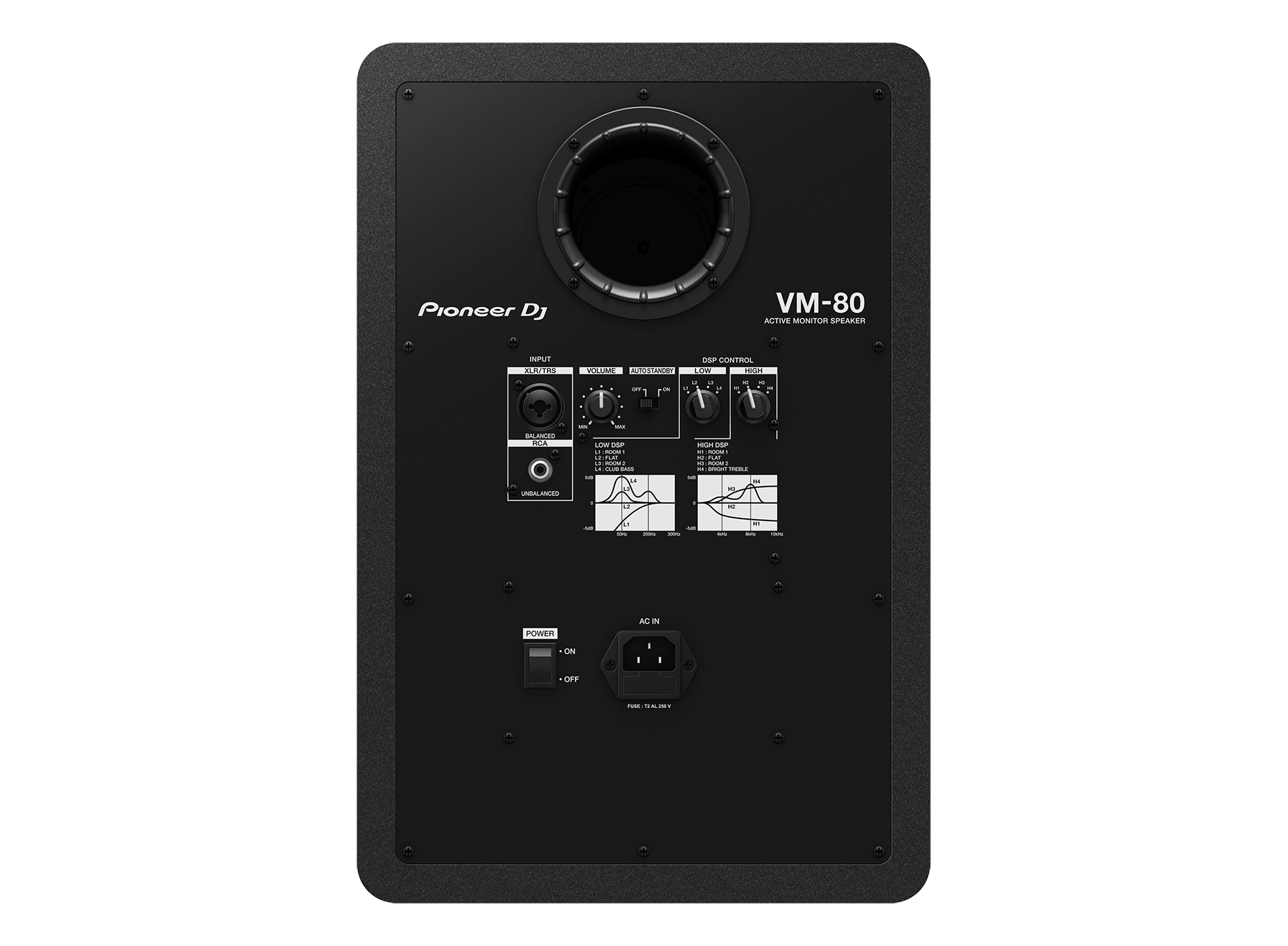 Pioneer VM 80 (Pair)