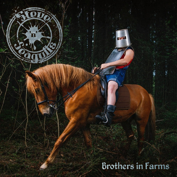 vinyl-stevenseagulls-brothers-in-farms