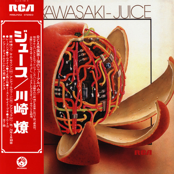 Ryo Kawasaki – Juice (TRC)