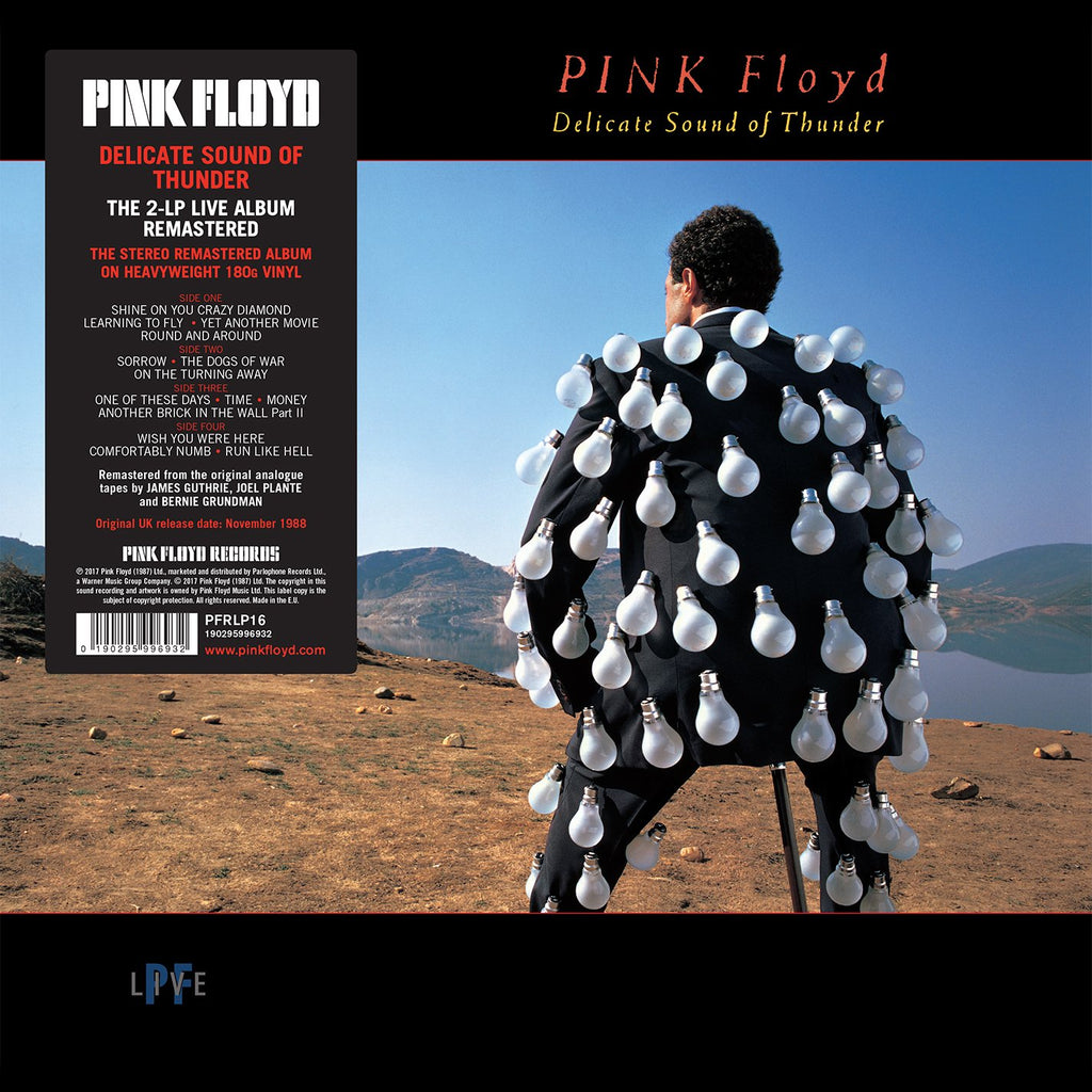 Delicate Sound Of Thunder By Pink Floyd (Arrives in 4 days)