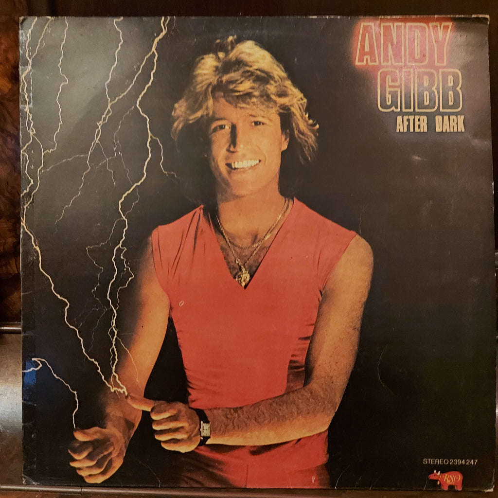Andy Gibb – After Dark (Used Vinyl - VG+)