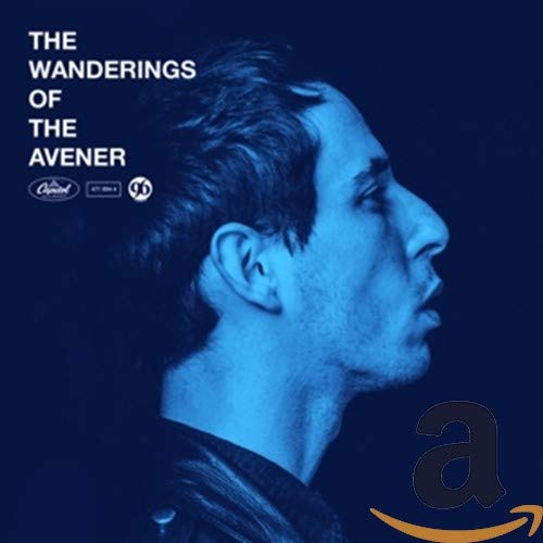 vinyl-the-wanderings-of-the-avener-by-the-avener