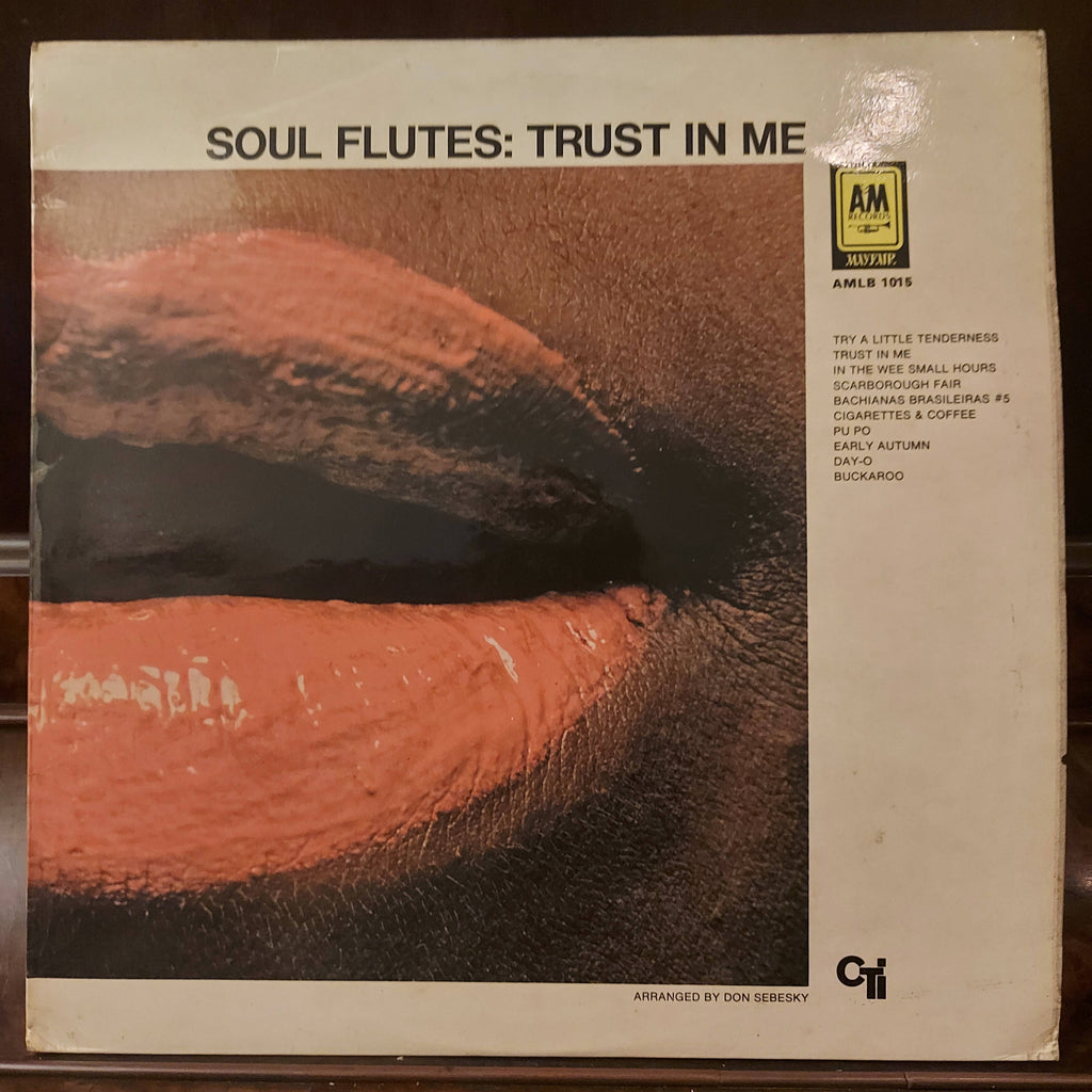 Soul Flutes – Trust In Me (Used Vinyl - VG+)