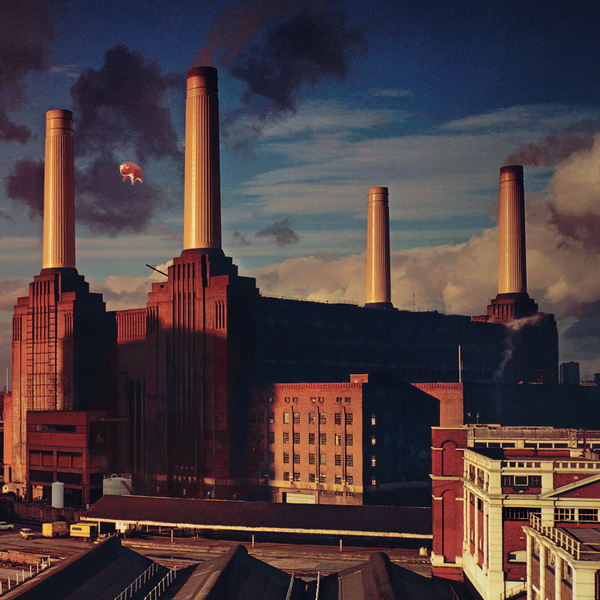 Animals By Pink Floyd (Arrives in 2 days)