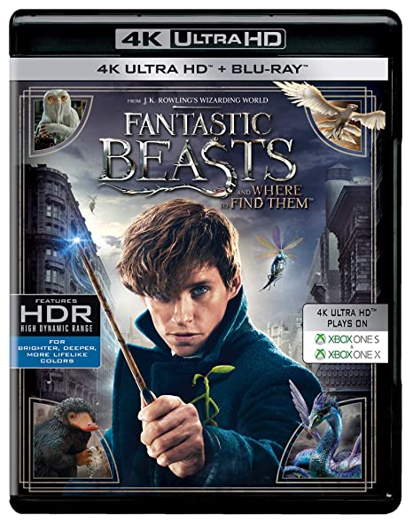 Fantastic Beasts and Where to Find Them  (Blu-Ray)