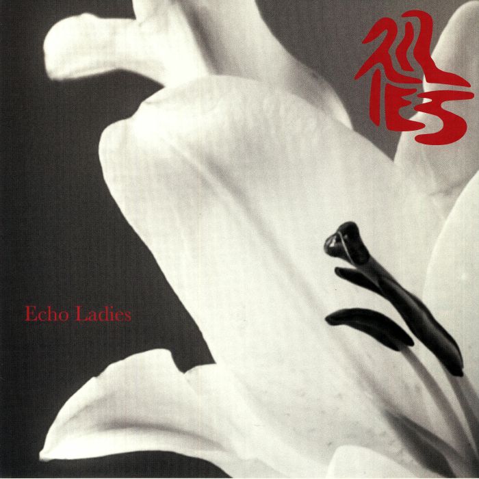 Echo Ladies - Lilies ( Arrives in 21 days)