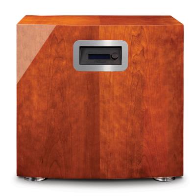 Tannoy definition Subwoofer Wall