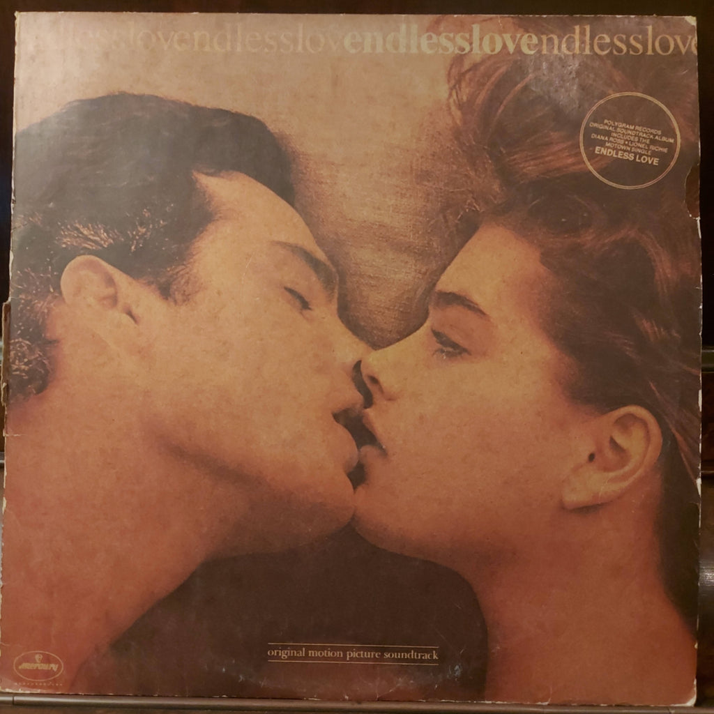 Various – Endless Love (Used Vinyl - VG)