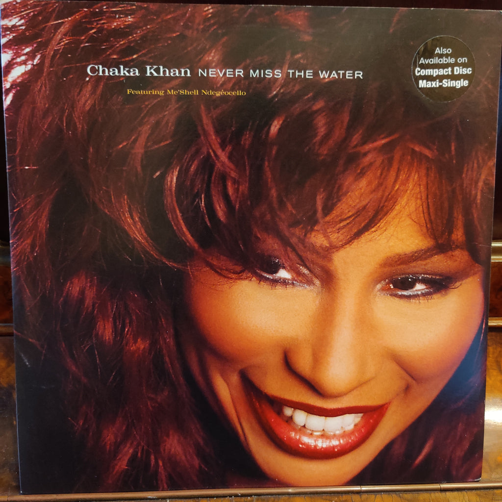 Chaka Khan Featuring Me'Shell NdegéOcello – Never Miss The Water (Used Vinyl - VG+) TRC