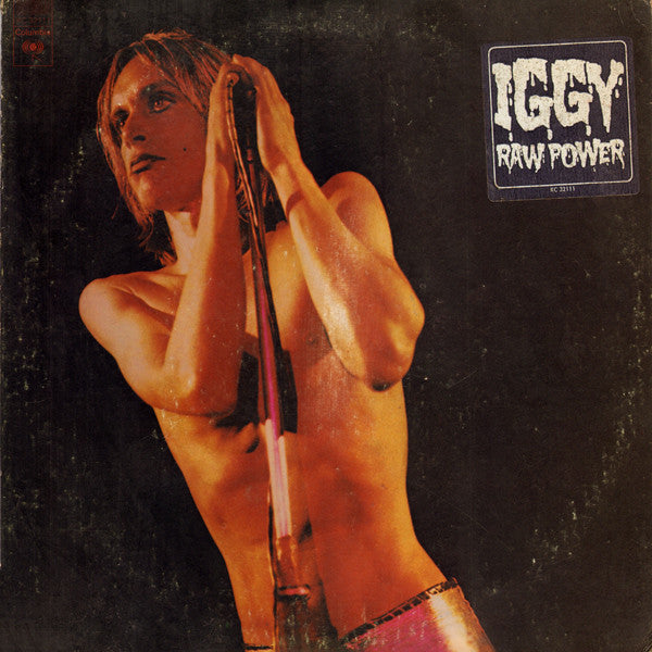 vinyl-raw-power-by-iggy-and-the-stooges