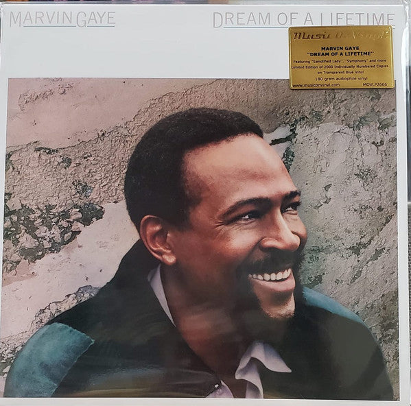 Marvin Gaye – Dream Of A Lifetime (Arrives in 4 days)