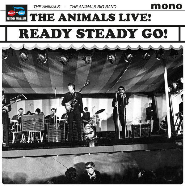 the-animals-ready-steady-go