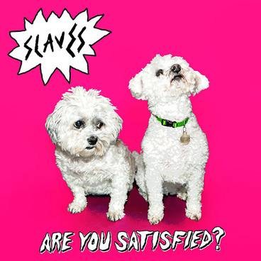 vinyl-slaves-3-are-you-satisfied