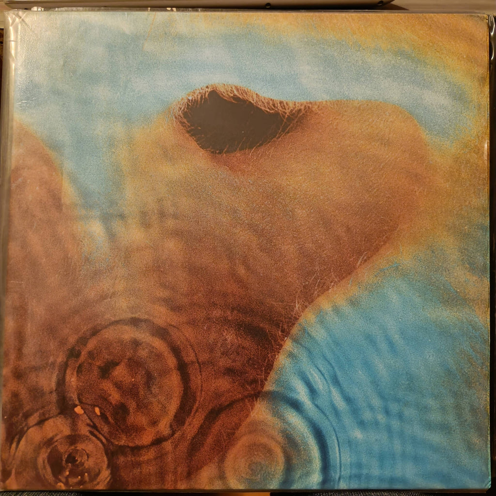 Pink Floyd – Meddle (Used Vinyl - NM) MD Recordwala