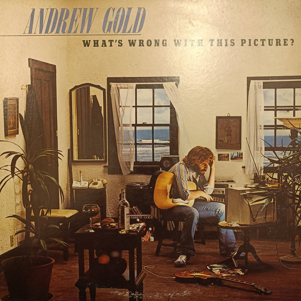 Andrew Gold – What's Wrong With This Picture? (Used Vinyl - VG+) MD - Recordwala