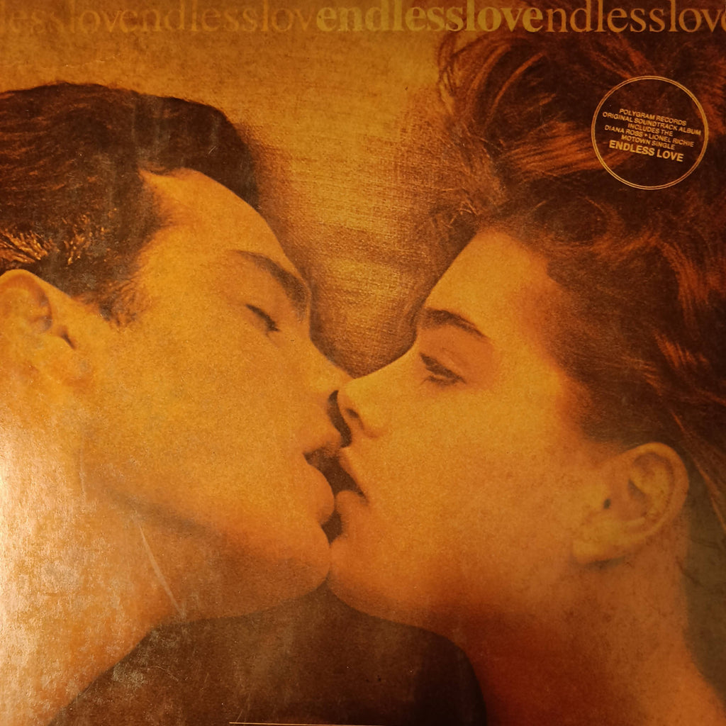 Various – Endless Love (Used Vinyl - VG+)